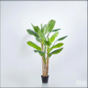EDG Enzo De Gasperi Pianta Banano Chic con Vaso H200 cm 18 Foglie