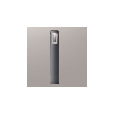 Janet Lampione giardino...