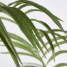 Enzo De Gasperi pianta artificiale Palma Areca con vaso H170cm