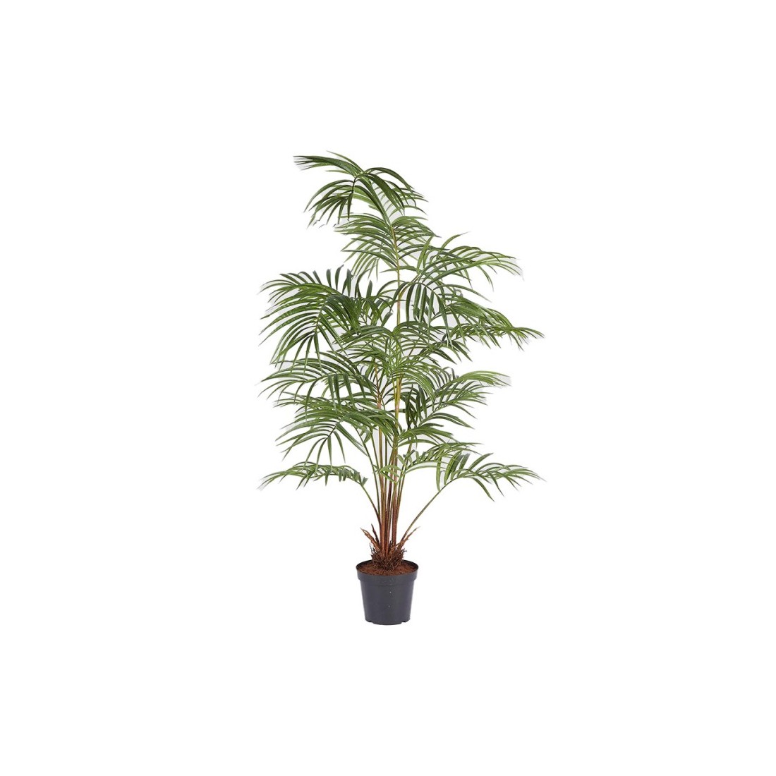 Enzo De Gasperi pianta artificiale Palma Areca con vaso H170cm