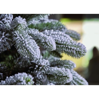 Edg Enzo De Gasperi Pino Merano Innevato H.150 Cm 